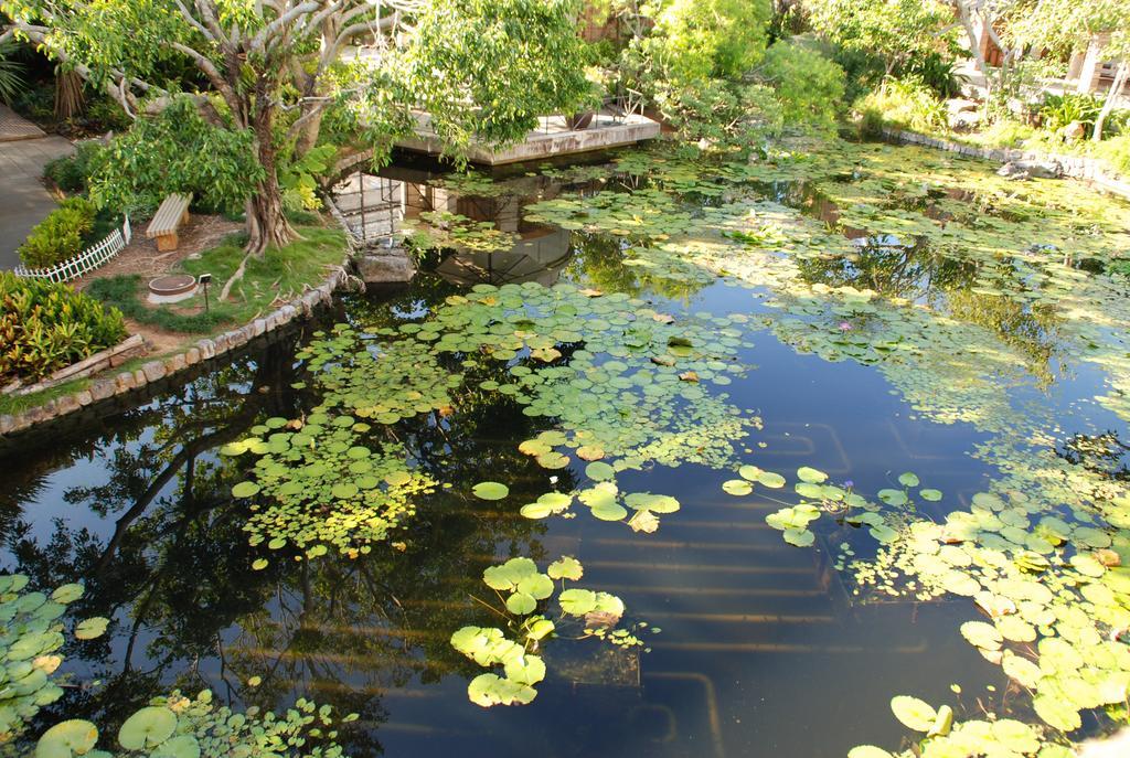 Yukurinaresort Okinawa Hills Churaumi Motobu Dış mekan fotoğraf